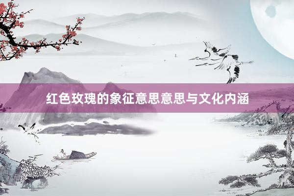 红色玫瑰的象征意思意思与文化内涵