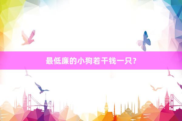 最低廉的小狗若干钱一只?