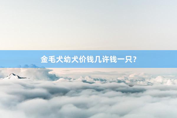 金毛犬幼犬价钱几许钱一只？