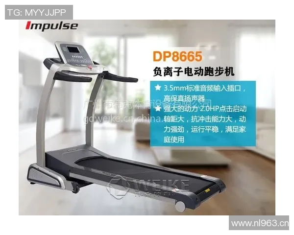 英派斯健身器材多功能产品介绍